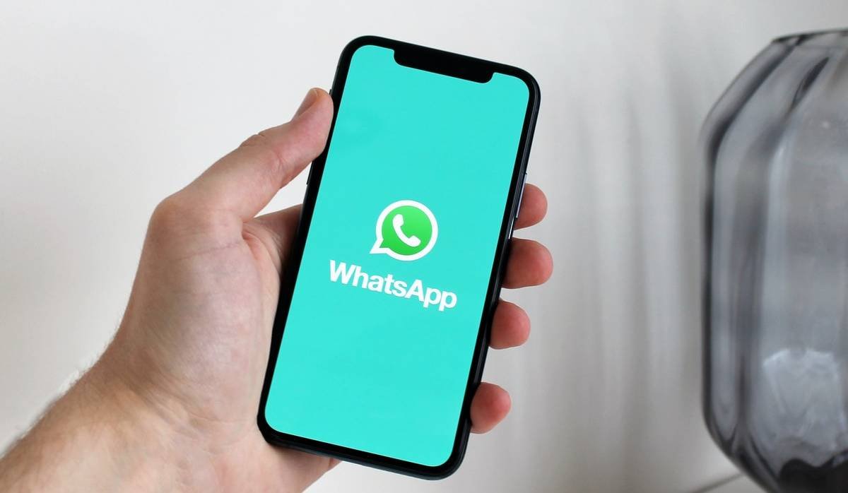 WhatsApp用户信息采集软件