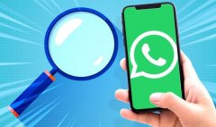 选择WhatsApp号码检查工具应该注意什么？