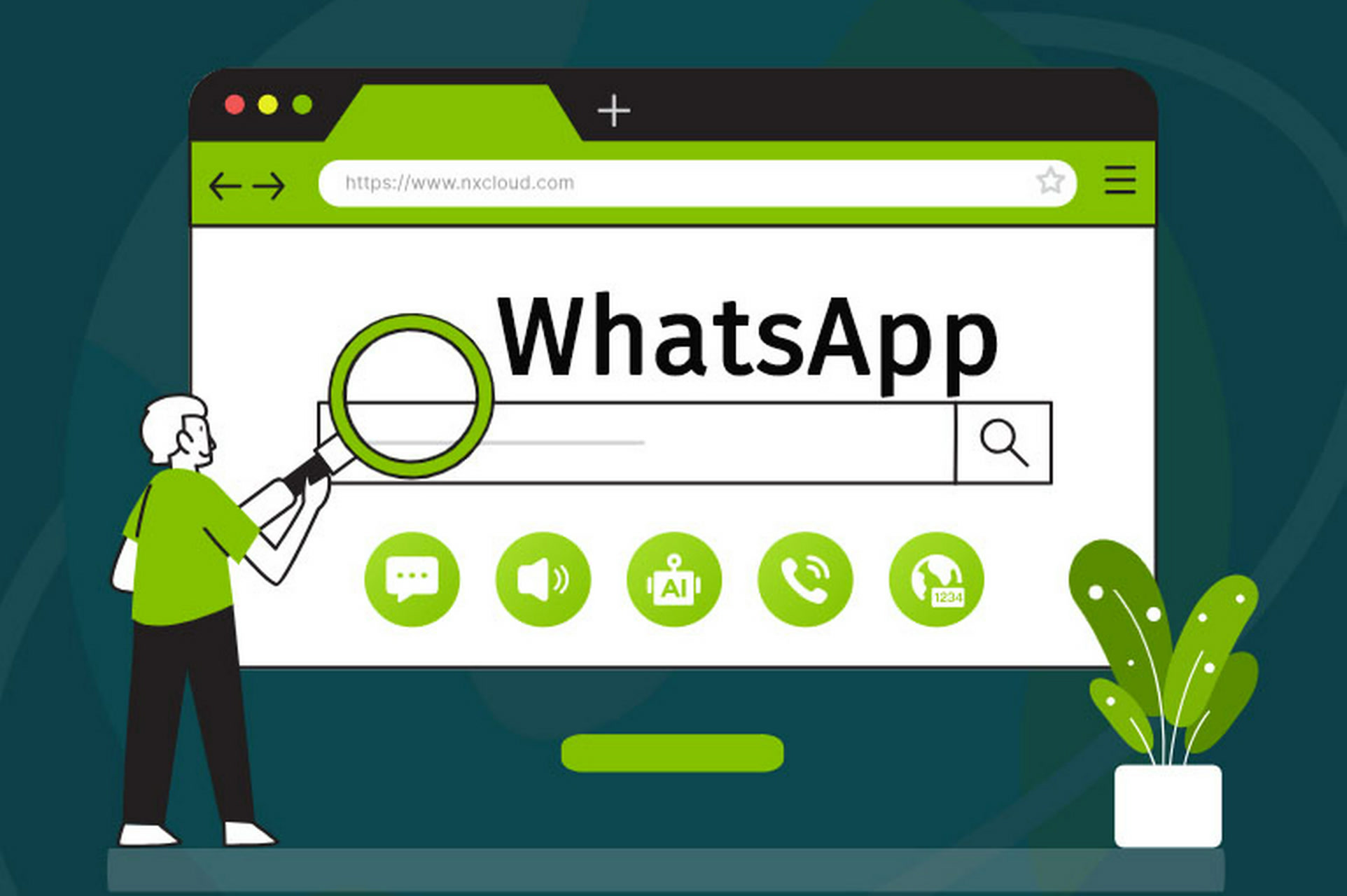 WhatsApp频道号,WhatsApp营销