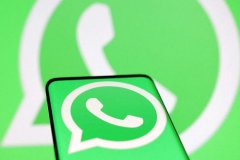 WhatsApp怎么根据账号信息进行分类？
