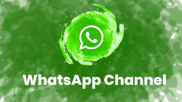 WhatsApp频道号,WhatsApp协议号,WhatsApp哈希号
