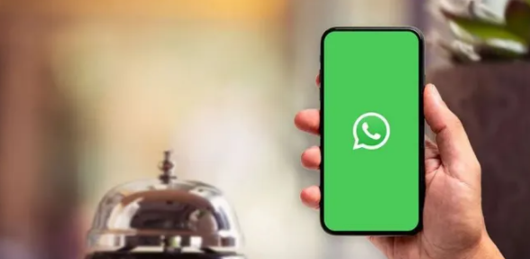 ws注册6段,ws协议号