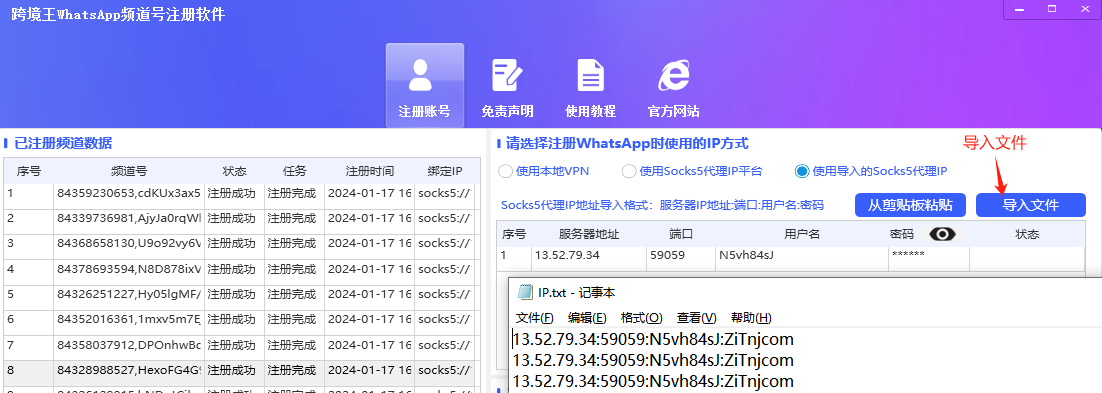 使用导入的Socks5代理IP